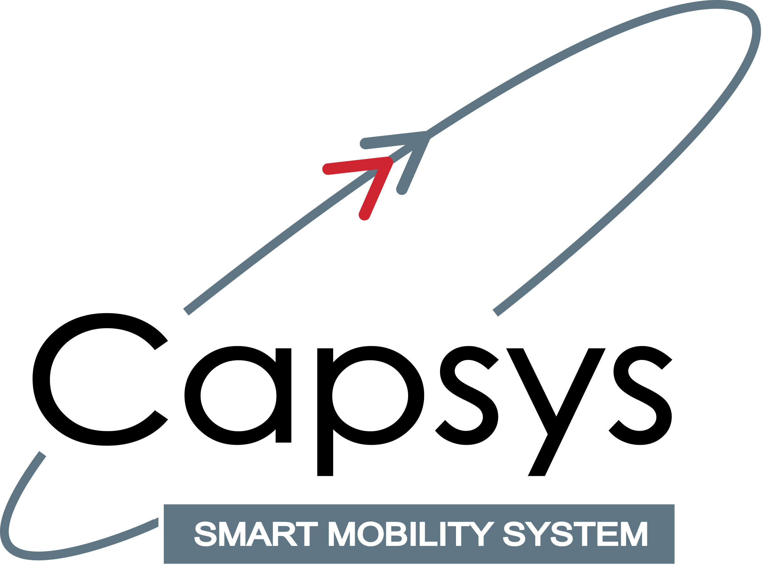 Logo Capsys sans heavy