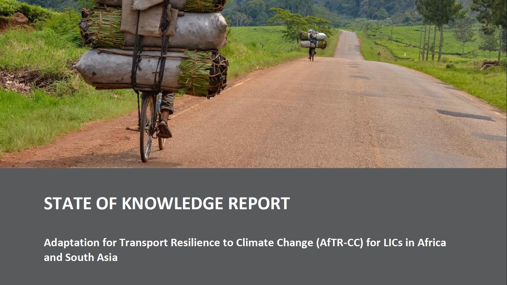 state of knowledge report