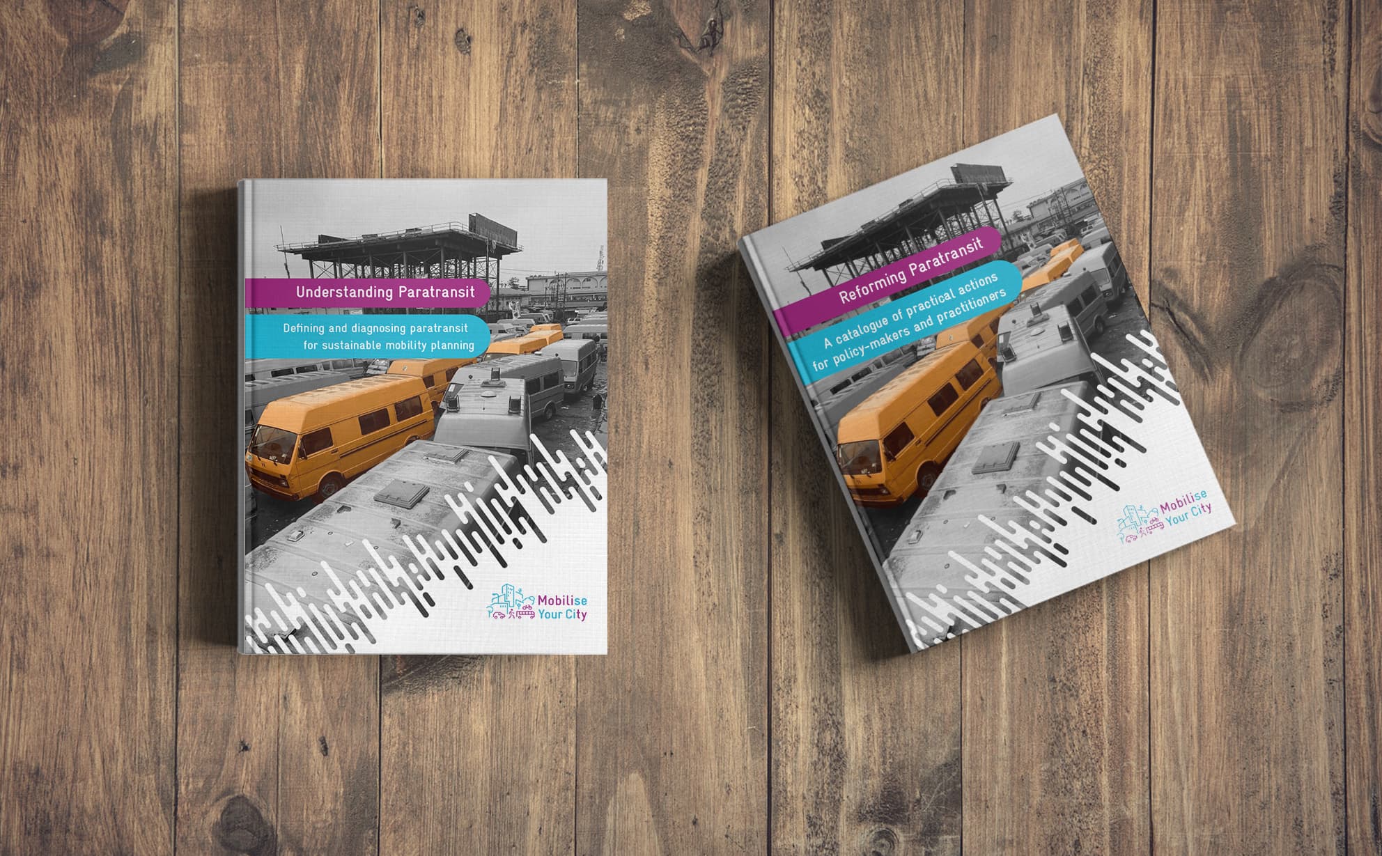 Paratransit toolkit EN