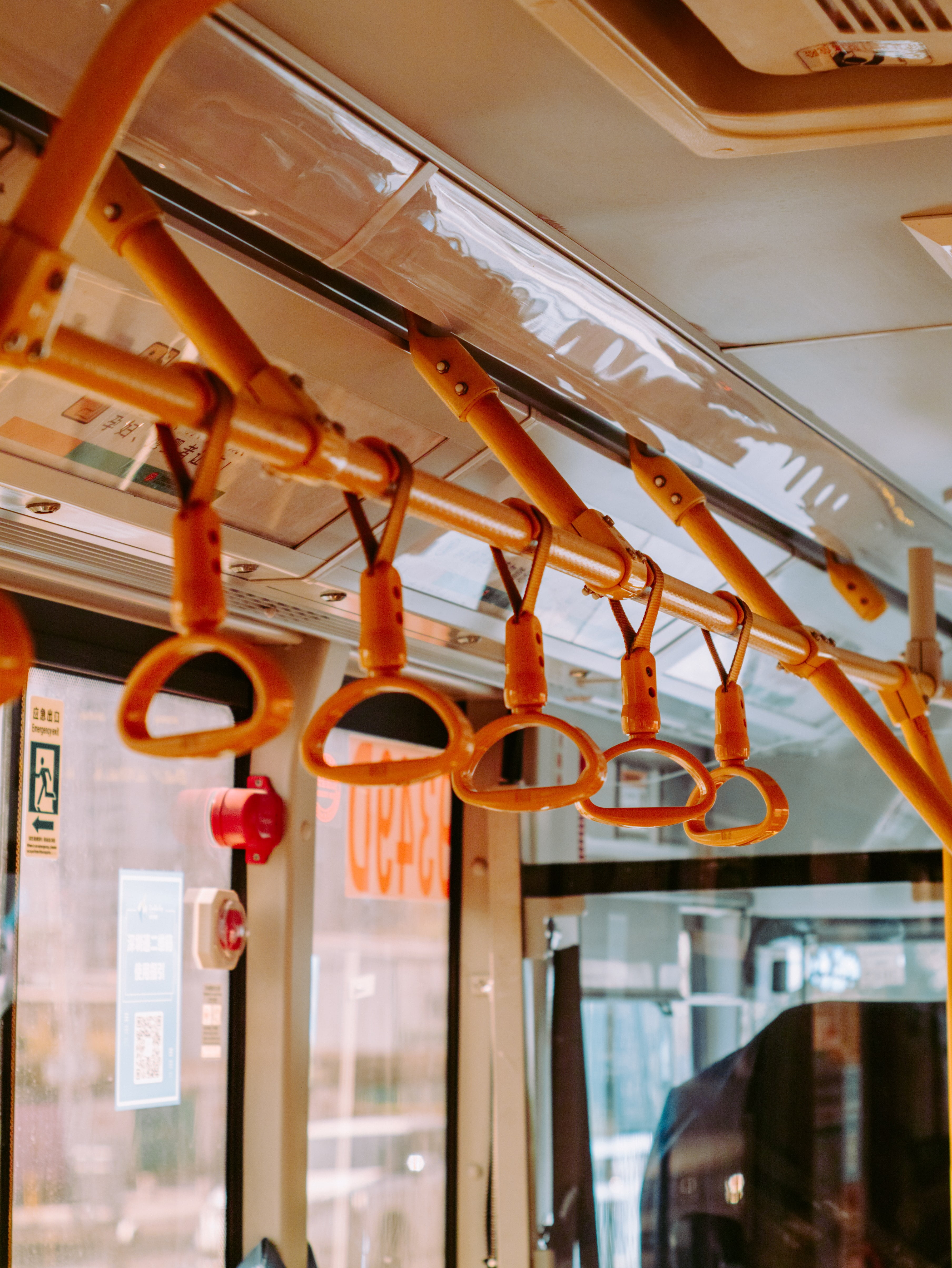 bus