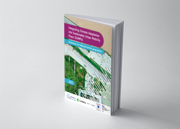 Integrating Climate Adaptation into Sustainable Urban Mobility Plans ...